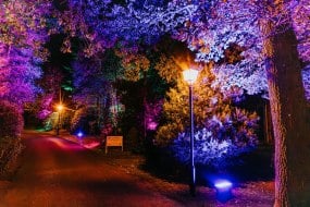 Illumination Events Strobe Lighting Hire Profile 1