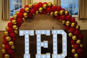 Wild About Events Balloon Decoration Hire Profile 1