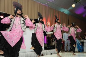 Punjab Bhangra crew Dancers Profile 1