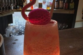 Poison Lounge Alcoholic
Ice Cream Hire Profile 1