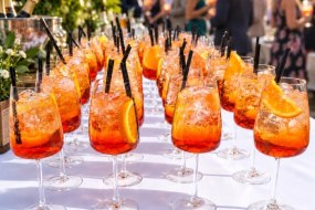 The Swan Mobile Bar Limited Cocktail Bar Hire Profile 1