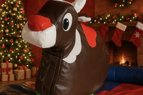 Rodeo Bull Norwich Rodeo Reindeer
Hire Profile 1