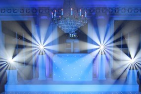 Viper Entertainments Mobile Disco Hire Profile 1