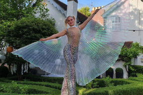 HM Creative & Co Circus Entertainment Profile 1