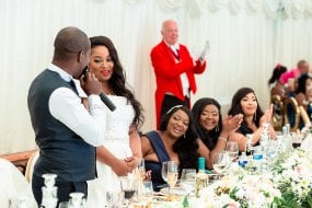 Peter Sumner Professional Toastmaster Toastmaster Profile 1