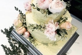 The Wild Bakery Find Local Cake Makers Profile 1