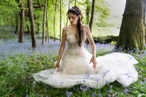 Vidal-Hall Photography Event Video and Photography Profile 1