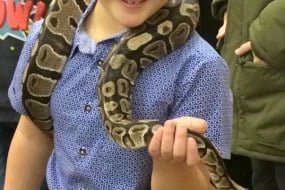 Snakes Alive Limited Animal Parties Profile 1