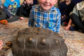 Wriggly Roadshow Animal Parties Profile 1