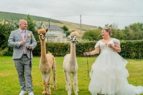 Tam's Photography Hire a Portrait Photographer Profile 1