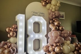 Wild About Events Balloon Decoration Hire Profile 1