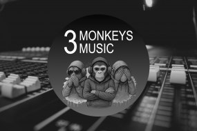 3 Monkeys Music Wedding Entertainers for Hire Profile 1
