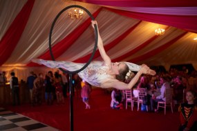 The Show Performance Company Circus Entertainment Profile 1
