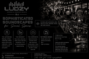 Ludzy Bands and DJs Profile 1