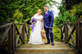 Cris Collins Photography Event Video and Photography Profile 1