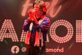 Feel Diamond - Neil Diamond Tribute Tribute Acts Profile 1