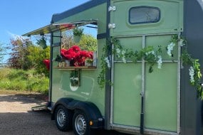 Hup Crepes Vans Profile 1