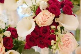 Petal & Stem Florals and Events Florists Profile 1