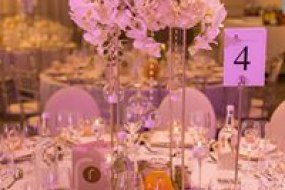 O.R. Butterfly Events  Wedding Accessory Hire Profile 1