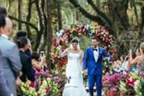 Lush Weddings & Events  Wedding Planner Hire Profile 1