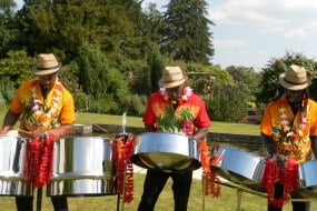 Steeldrumbands Steel Band Hire Profile 1