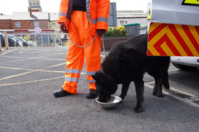 Region Security Guarding