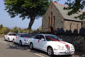 Love is Golden Wedding Car Hire