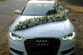 Million Cars Limited  Wedding Car Hire Profile 1