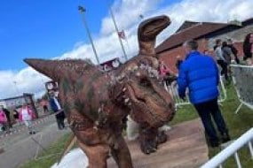 Dinosaur Hire Scotland Character Hire Profile 1