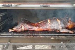 Hog Bites BBQ Catering Profile 1