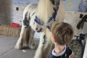 Pony Tails & Unicorn Trails Pony Parties Profile 1