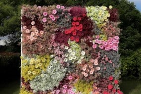 Supply My Decor Ltd Flower Wall Hire Profile 1