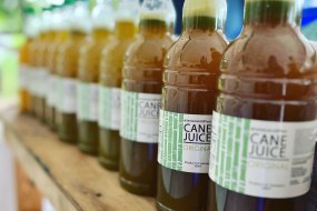 Jamaica Cold-Pressed Juices undefined Profile 1