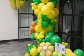 Craigs Special occasions Balloon Decoration Hire Profile 1