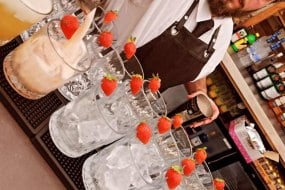Fire Flair Cocktails Hire Waiting Staff Profile 1