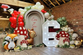 Desired Occasions  Balloon Decoration Hire Profile 1