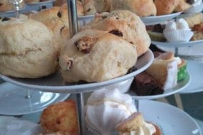 Crocodile Sisters Cupcake Makers Profile 1
