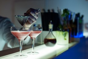 Cocktail bartender hire