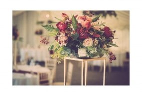 Your Day Your Way Ltd Event
Styling Profile 1