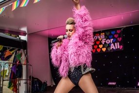 Stupid Girl Pink tribute undefined Profile 1