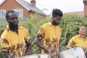 True Steel Band undefined Profile 1