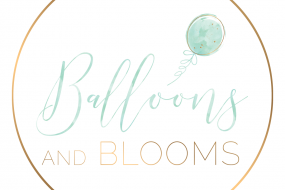 Balloons and Blooms Balloon Decoration Hire Profile 1