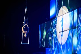 Zu Aerial Party Entertainers Profile 1