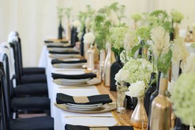 South Coast Events Ltd undefined Profile 1