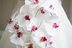 The Flower Fashion  Flower Wall Hire Profile 1