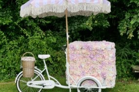 Rose Ice Cream Bike undefined Profile 1