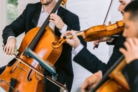 Petford Ensemble String Quartet Hire Profile 1