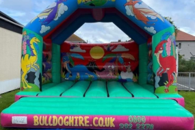 TK Inflatables Inflatable Slide Hire Profile 1