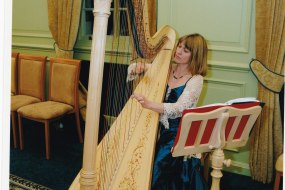 oxfordshire harpist undefined Profile 1