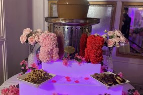 Fountain Well Chocolate Fountain Hire Profile 1